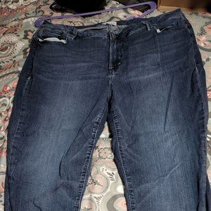 Rebel Wilson X Angel The Duchess Blue Skinny Jean